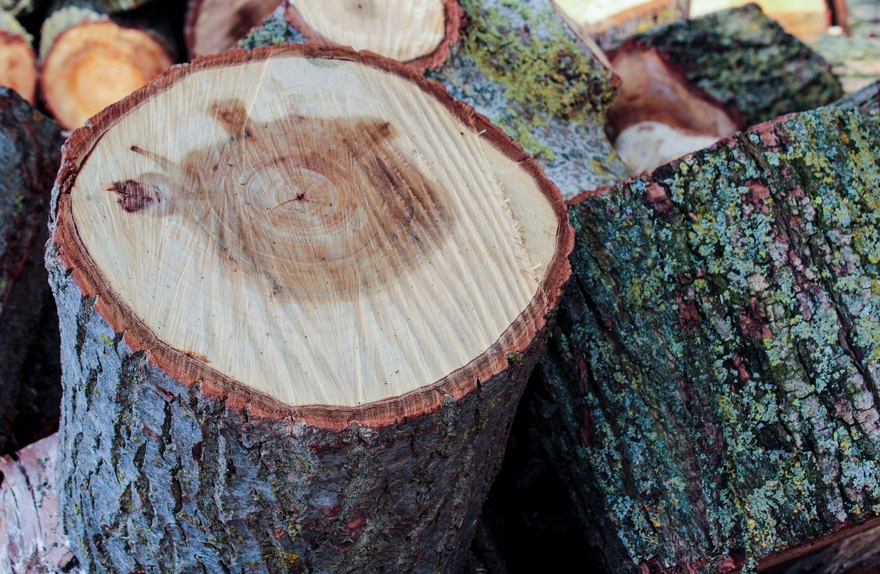 Étude de Cas 2 : Développement de Marché pour GreenFuture Initiatives